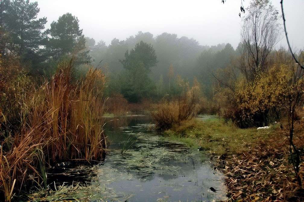 �������� ���� ����� ���������  �� PhotoGeek.ru #������ ��� �������