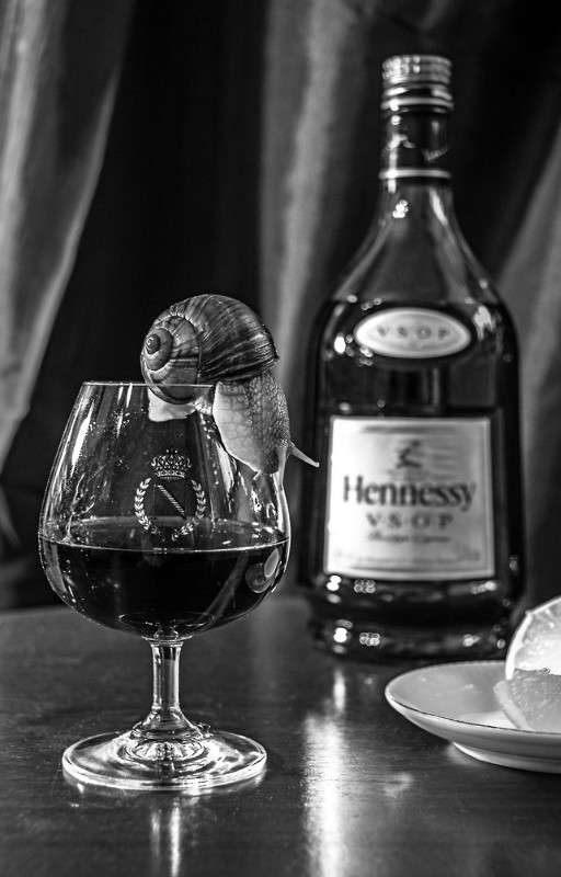 ... ����� ���������  �� PhotoGeek.ru #��������� #�����-�����