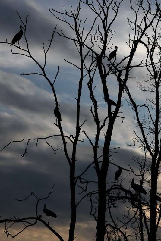 ����� ����� ���������  �� PhotoGeek.ru #�������� ���