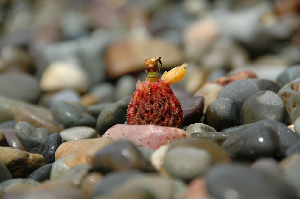 �������� ����� ���������  �� PhotoGeek.ru #���������