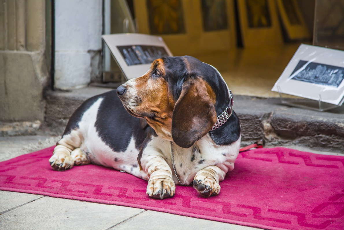 ������� �������. ��������� ����� ���������  �� PhotoGeek.ru #�������� ���������� #���������������