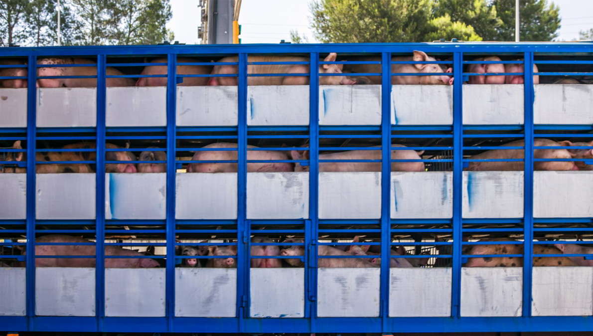 ����� ����� ���������  �� PhotoGeek.ru #�������� ���������� #���������������