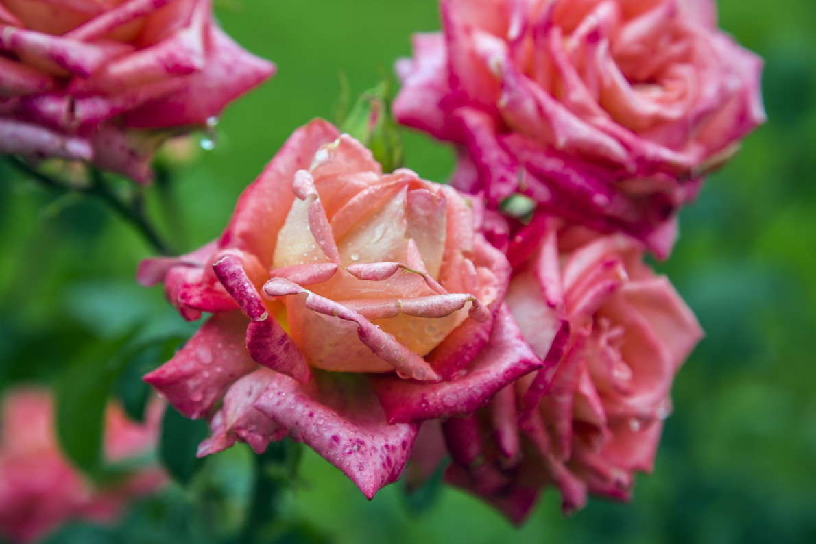 ������� ����� ���������  �� PhotoGeek.ru #����� ��������������