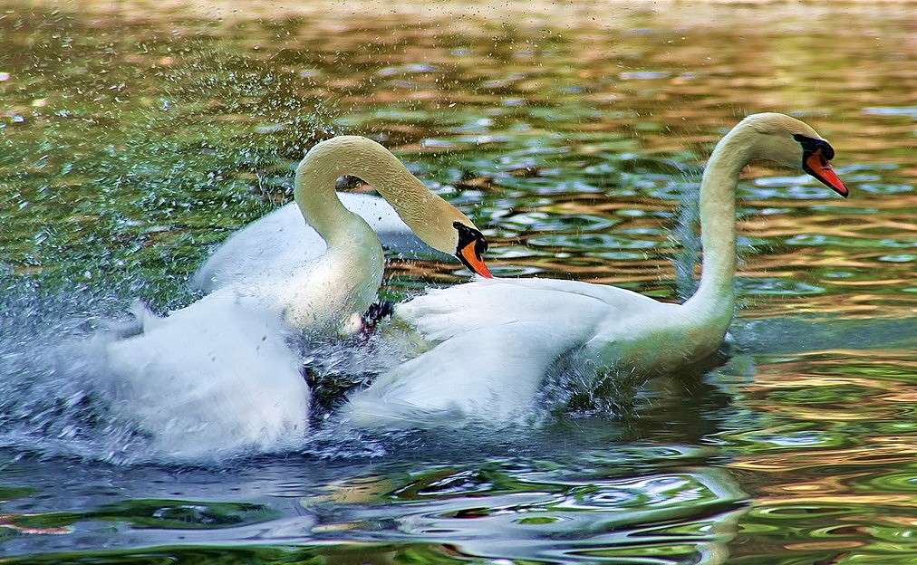 ��������� ������� ����� ���������  �� PhotoGeek.ru #�������� ���