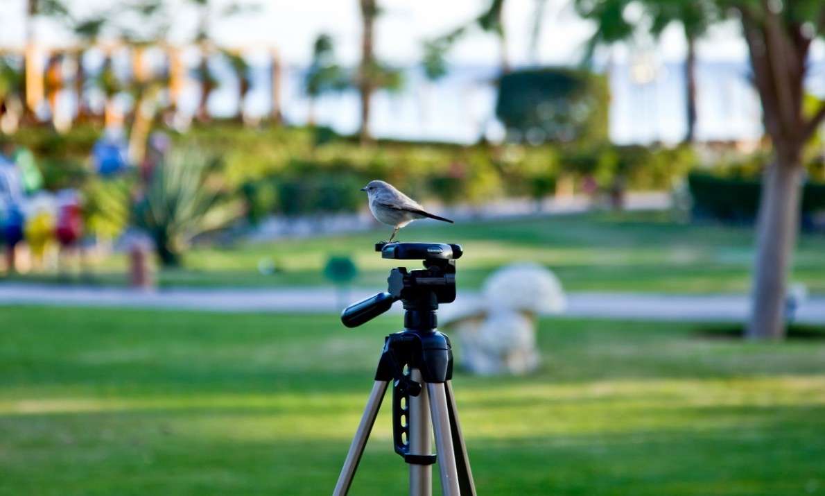 �������� ����� ���������  �� PhotoGeek.ru #�������� ���