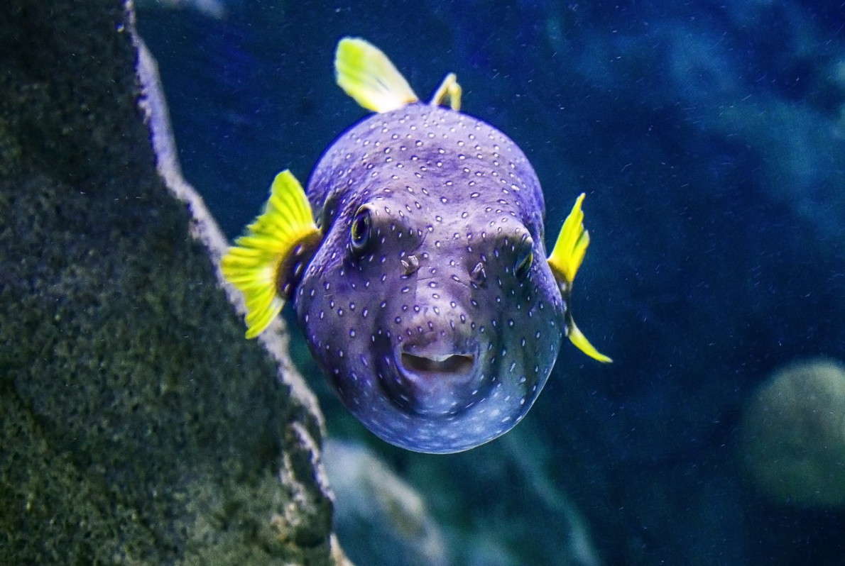 �� ���? ����� ���������  �� PhotoGeek.ru #�������� ���