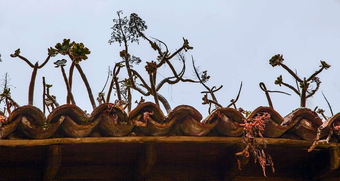 C����� ���������� ����� ���������  �� PhotoGeek.ru #����� ��������