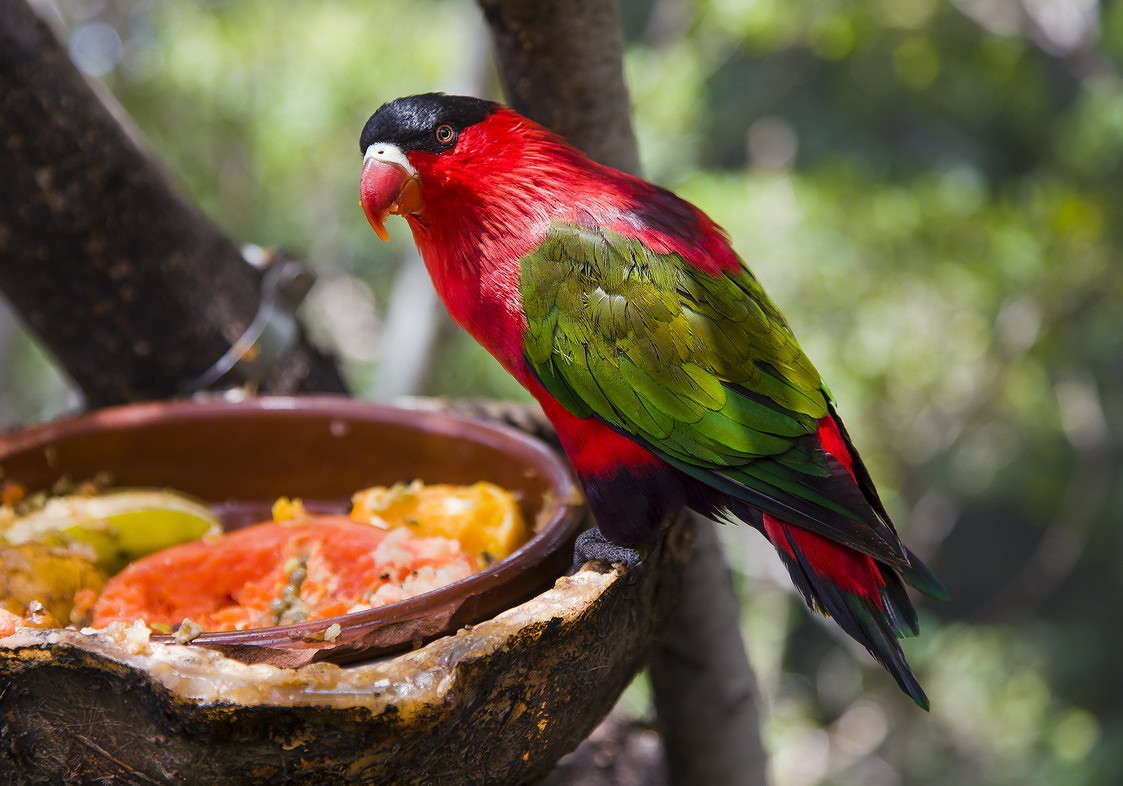 ... ����� ���������  �� PhotoGeek.ru #�������� ���