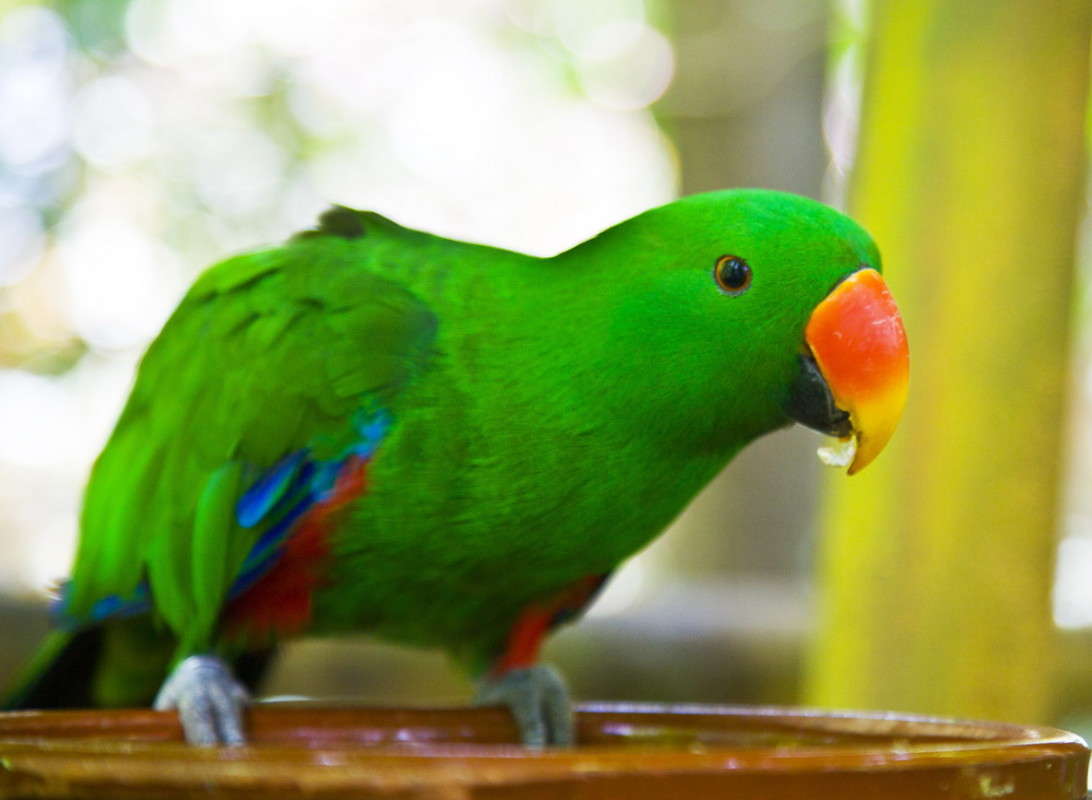 ������� ������� ����� ���������  �� PhotoGeek.ru #�������� ���