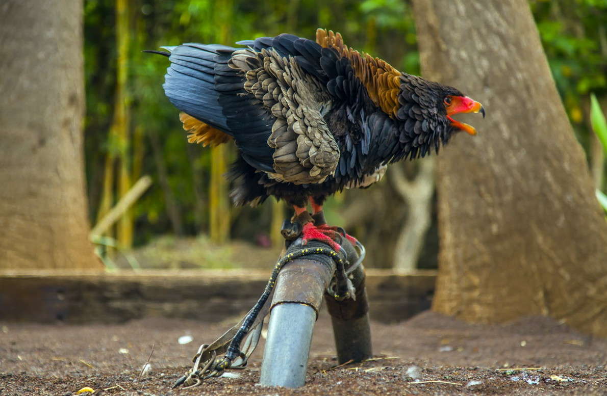 ... ����� ���������  �� PhotoGeek.ru #�������� ���