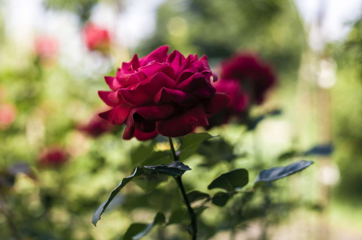 ... ����� ���������  �� PhotoGeek.ru #������ ��� ������� #����� ��������������