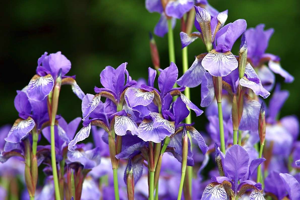 ����� ����� ���������  �� PhotoGeek.ru #������ ��� ������� #����� ��������������