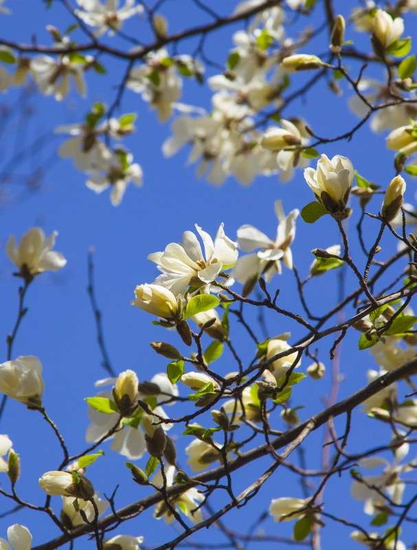 �������� ����� ���������  �� PhotoGeek.ru #������ ��� ������� #����� ��������������