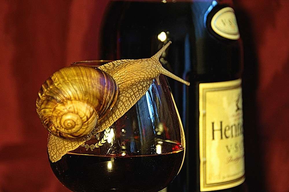 ... ����� ���������  �� PhotoGeek.ru #��������� #�������� ���