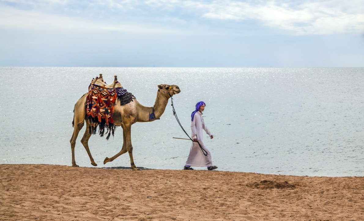 ... ����� ���������  �� PhotoGeek.ru #�������� ����������