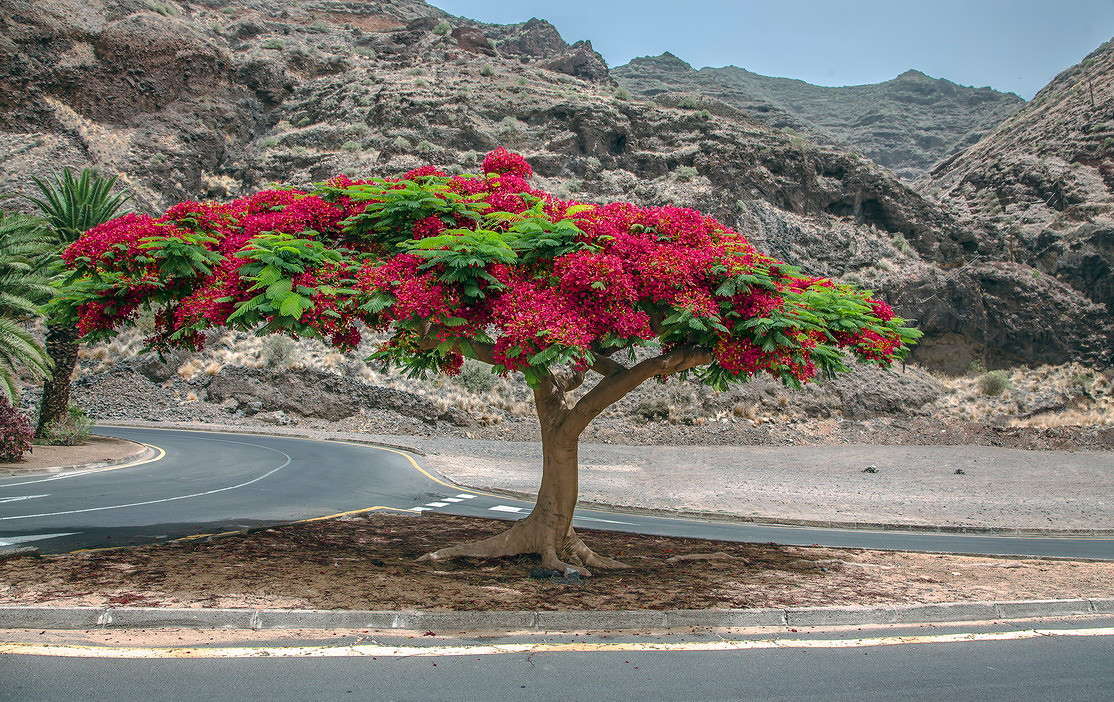 ������ ����� ���������  �� PhotoGeek.ru #������ ��� ������� #����� ��������������