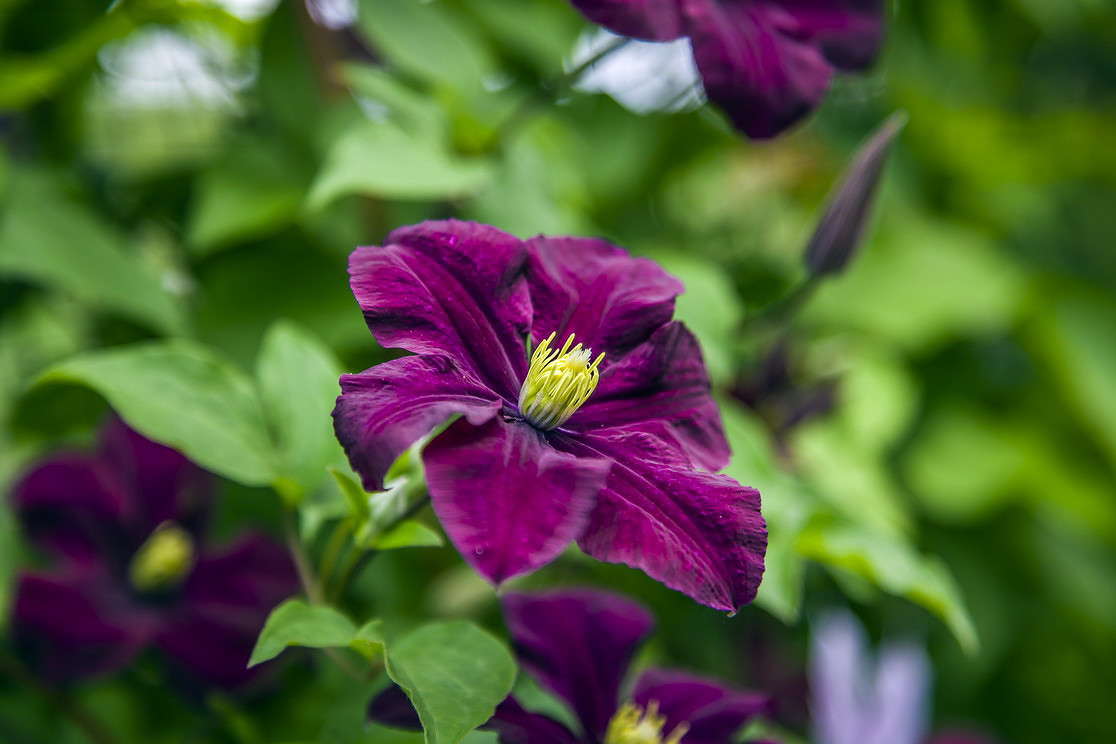 �������� ����� ���������  �� PhotoGeek.ru #������ ��� ������� #����� �������������� #���������