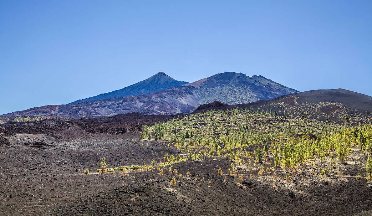 ������ ������� ������� �����, �������� ����� ���������  �� PhotoGeek.ru #������ ��� �������