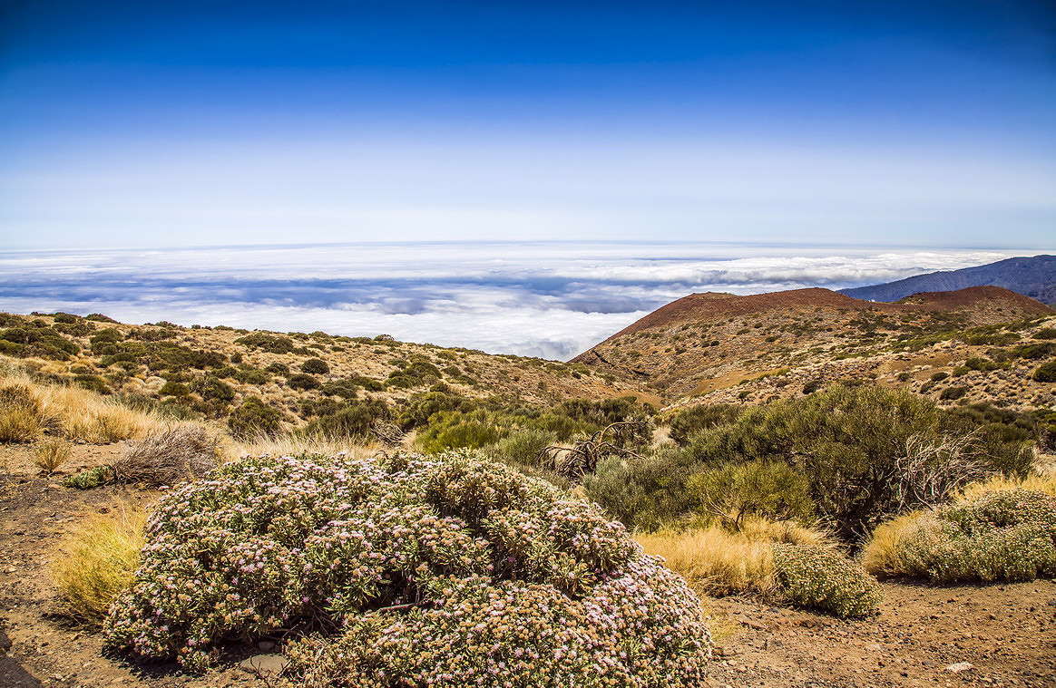 ������ �� ������ 2100 �������� ����� ���������  �� PhotoGeek.ru #������ ��� �������