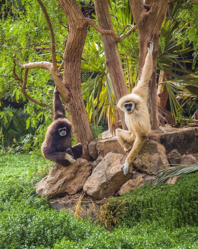 ��� �����-�������� ����� ���������  �� PhotoGeek.ru #�������� ���