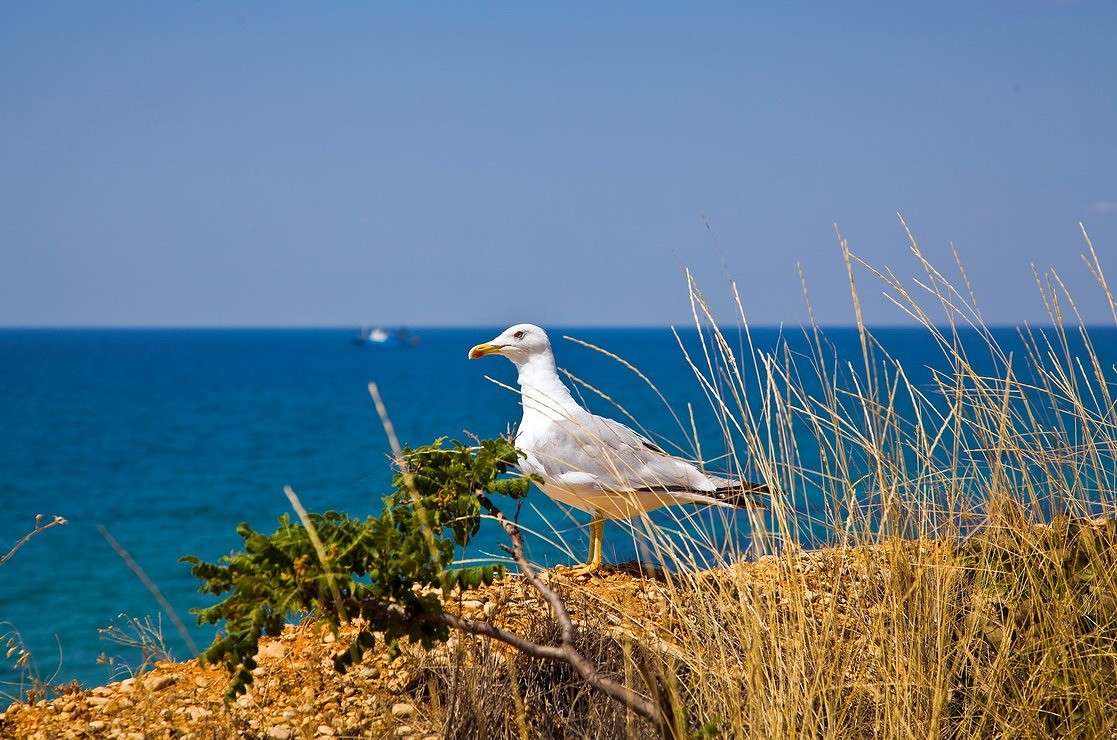 ... ����� ���������  �� PhotoGeek.ru #�������� ���