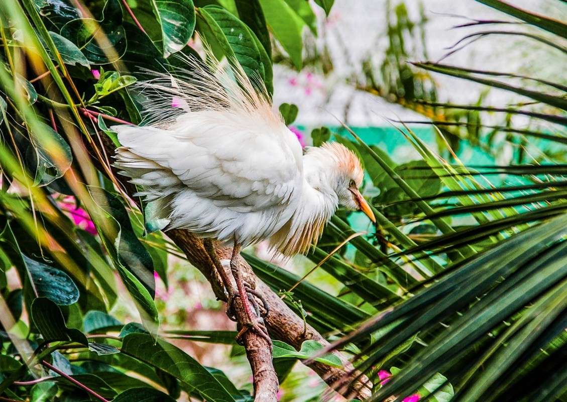 ... ����� ���������  �� PhotoGeek.ru #�������� ���