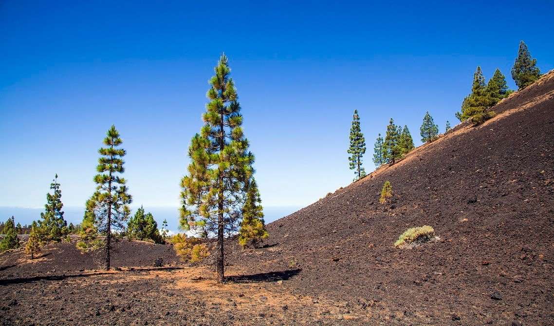 ����� �������� ����� ���������  �� PhotoGeek.ru #������ ��� �������