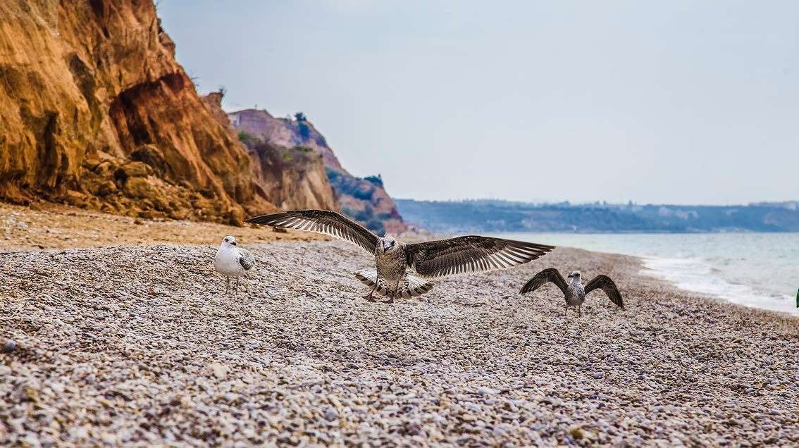 ... ����� ���������  �� PhotoGeek.ru #�������� ���