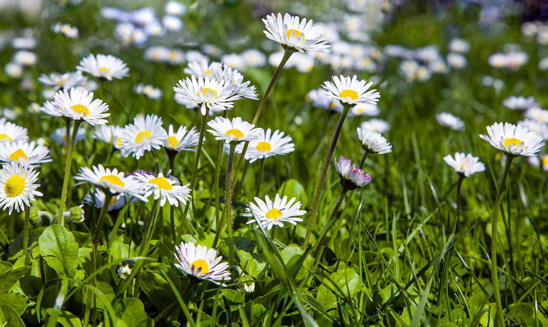 ���������� ����� ���������  �� PhotoGeek.ru #������ ��� �������