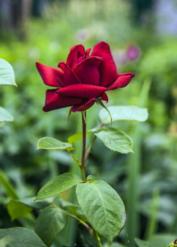 ... ����� ���������  �� PhotoGeek.ru #������ ��� �������