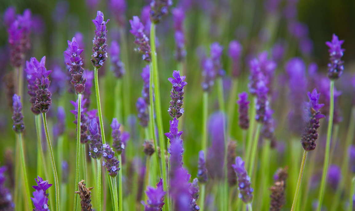 ... ����� ���������  �� PhotoGeek.ru #������ ��� �������