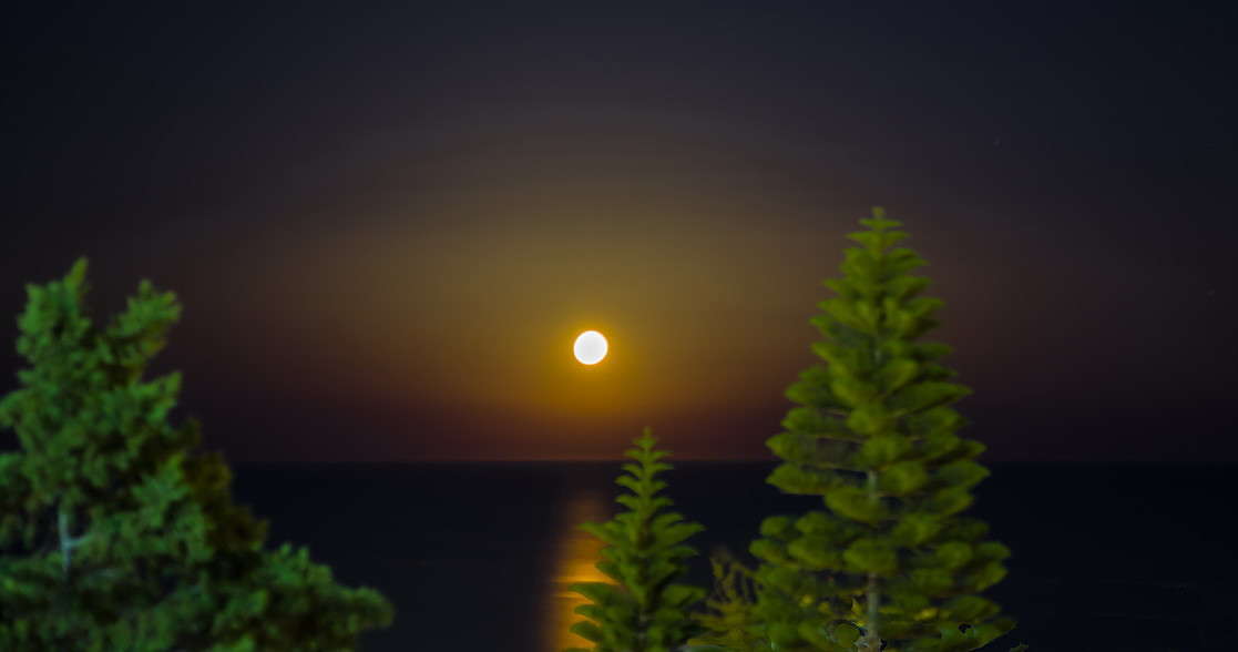 ������ ���� ��� ����� ����� ���������  �� PhotoGeek.ru #������ ��� �������