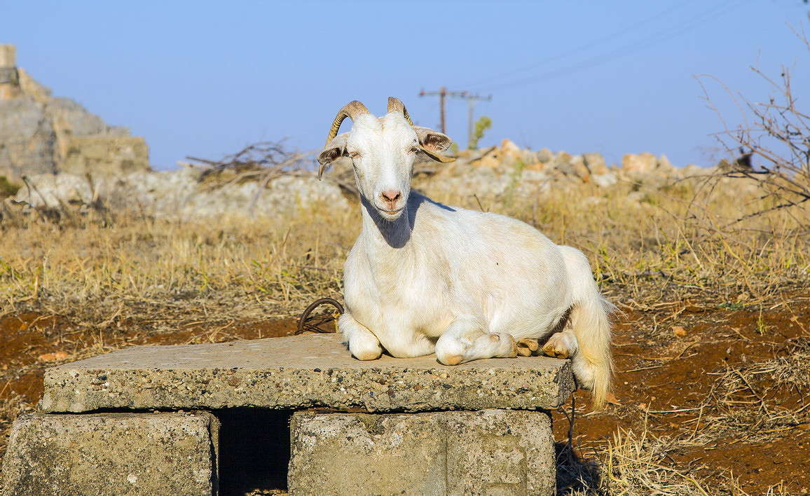 ���� ������ ����� ���������  �� PhotoGeek.ru #�������� ���