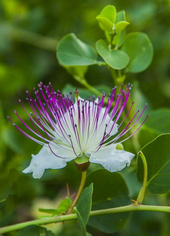 ... ����� ���������  �� PhotoGeek.ru #������ ��� ������� #����� ��������