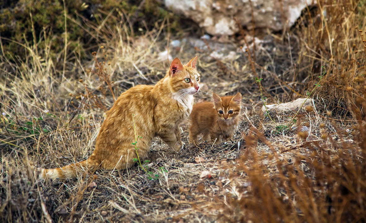 ... ����� ���������  �� PhotoGeek.ru #�������� ���