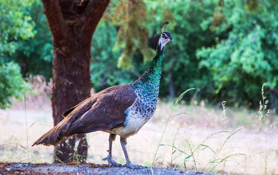 ... ����� ���������  �� PhotoGeek.ru #�������� ���