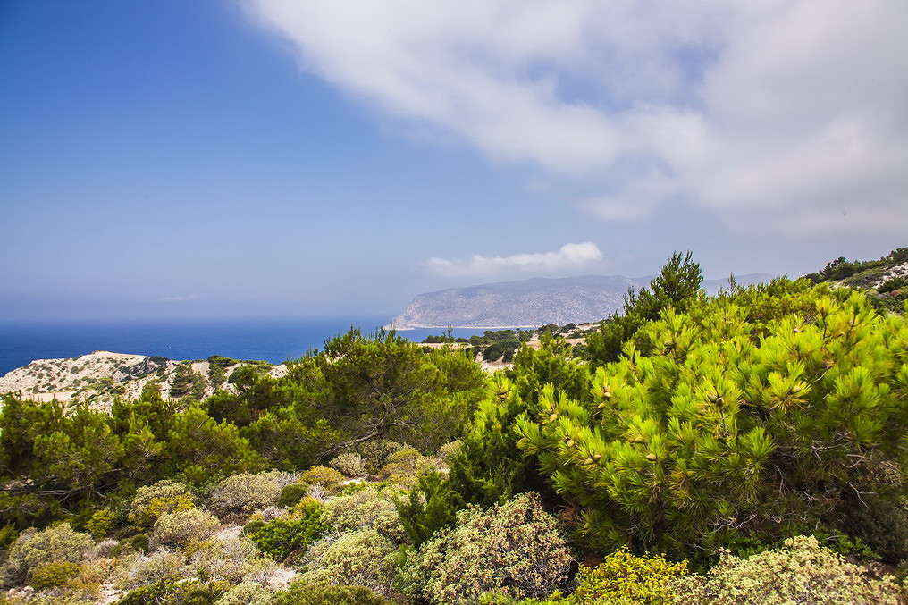 �����. ��������� ��������� ���� ����� ���������  �� PhotoGeek.ru #������ ��� �������