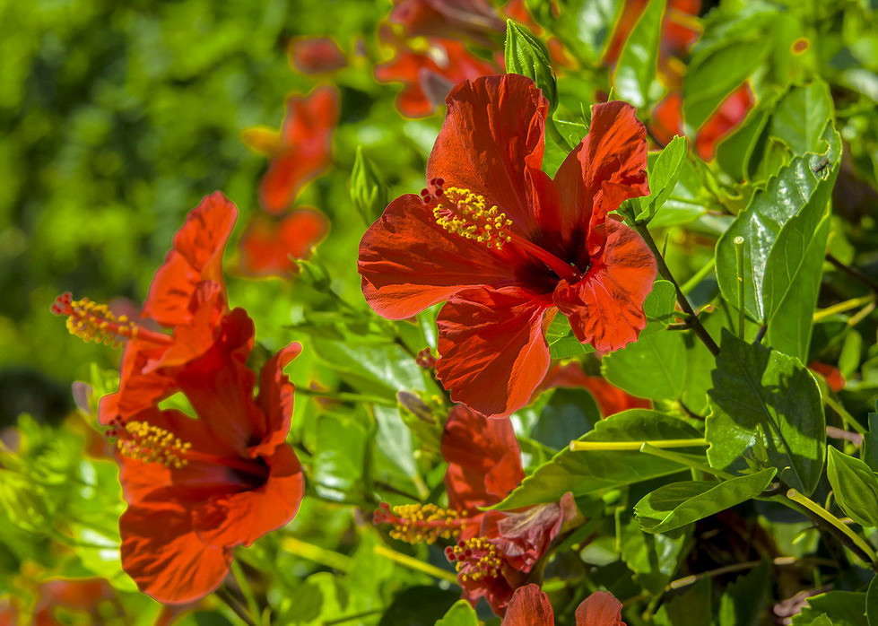 �������� ����� ���������  �� PhotoGeek.ru #������ ��� ������� #����� �������������� #���������