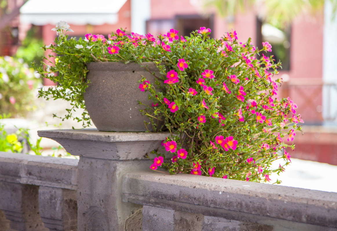 ... ����� ���������  �� PhotoGeek.ru #���������