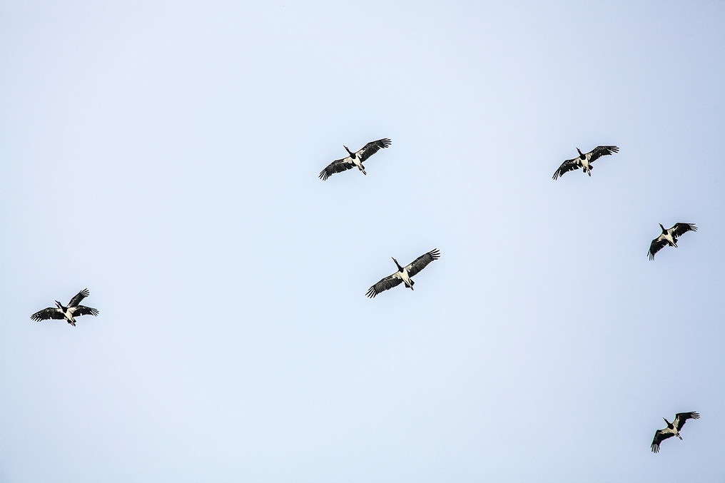 ����� ����� ���������  �� PhotoGeek.ru #�������� ���