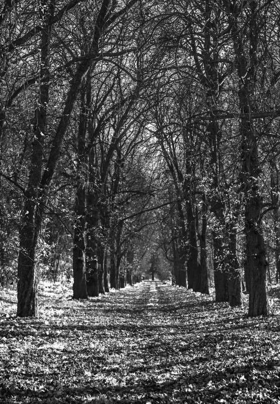 ... ����� ���������  �� PhotoGeek.ru #������ ��� �������