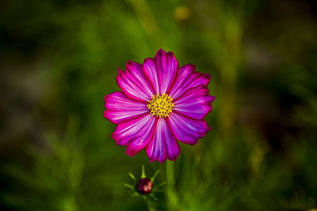 ... ����� ���������  �� PhotoGeek.ru #������ ��� �������