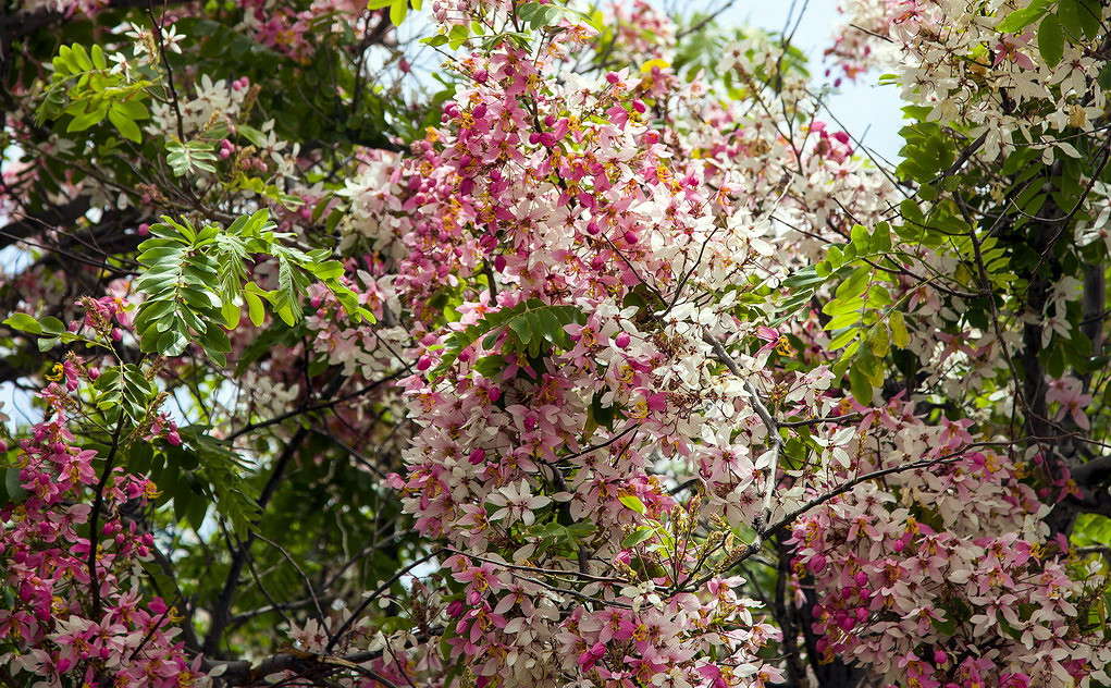 ������ ����� ���������  �� PhotoGeek.ru #������ ��� ������� #����� ��������������