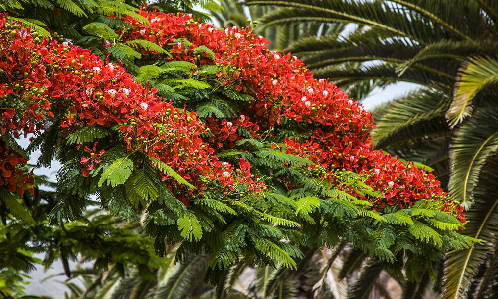 ������� ������ ������ ����� ���������  �� PhotoGeek.ru #������ ��� �������