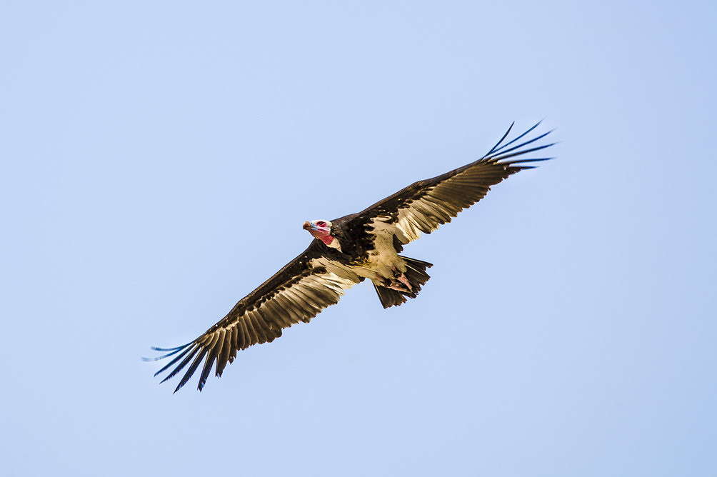 ������ ����� ���������  �� PhotoGeek.ru #�������� ���