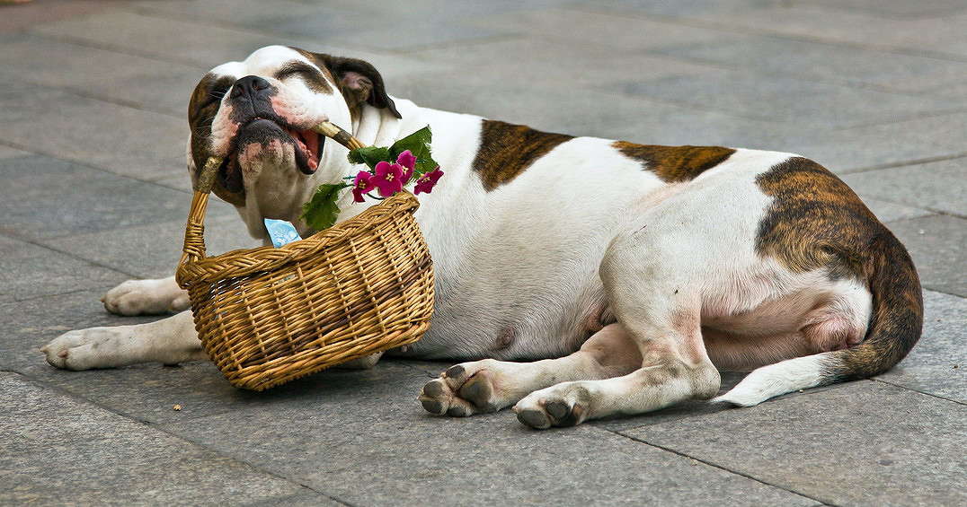 ... ����� ���������  �� PhotoGeek.ru #�������� ��� #�������� ����������