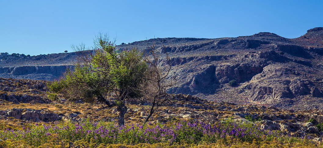 ... ����� ���������  �� PhotoGeek.ru #������ ��� �������