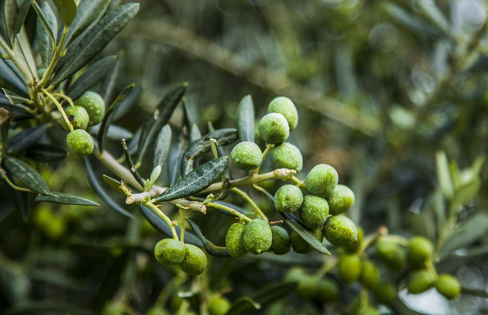 ����� ������ ����� ���������  �� PhotoGeek.ru #������ ��� ������� #����� �������������� #���������