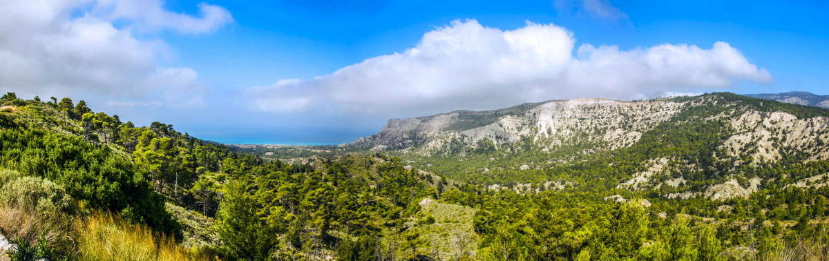 ... ����� ���������  �� PhotoGeek.ru #������ ��� �������