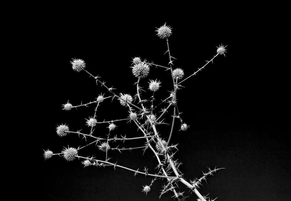 ... ����� ���������  �� PhotoGeek.ru #������ ��� �������